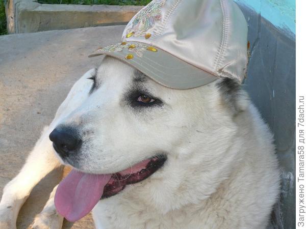 Фотомодель. да и только!