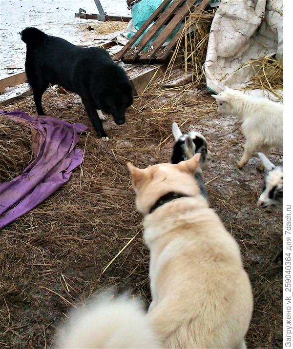 Знакомство.