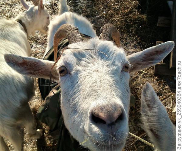 А что это у тебя такое интересное?