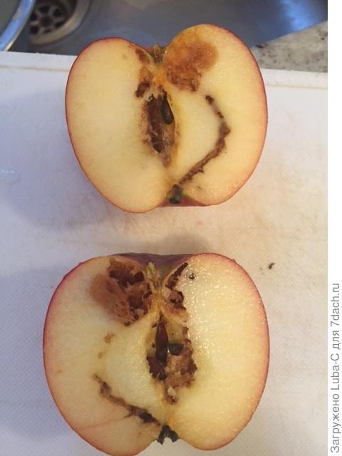 вот такая безрадостная картина