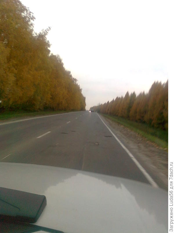 Дороги...не сидим дома