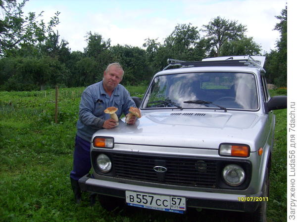 Только что из леса