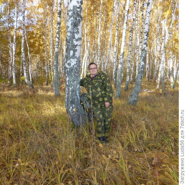 В лесу