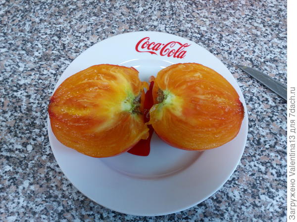 Самый крупный томат"Сокровище Инков" в разрезе.