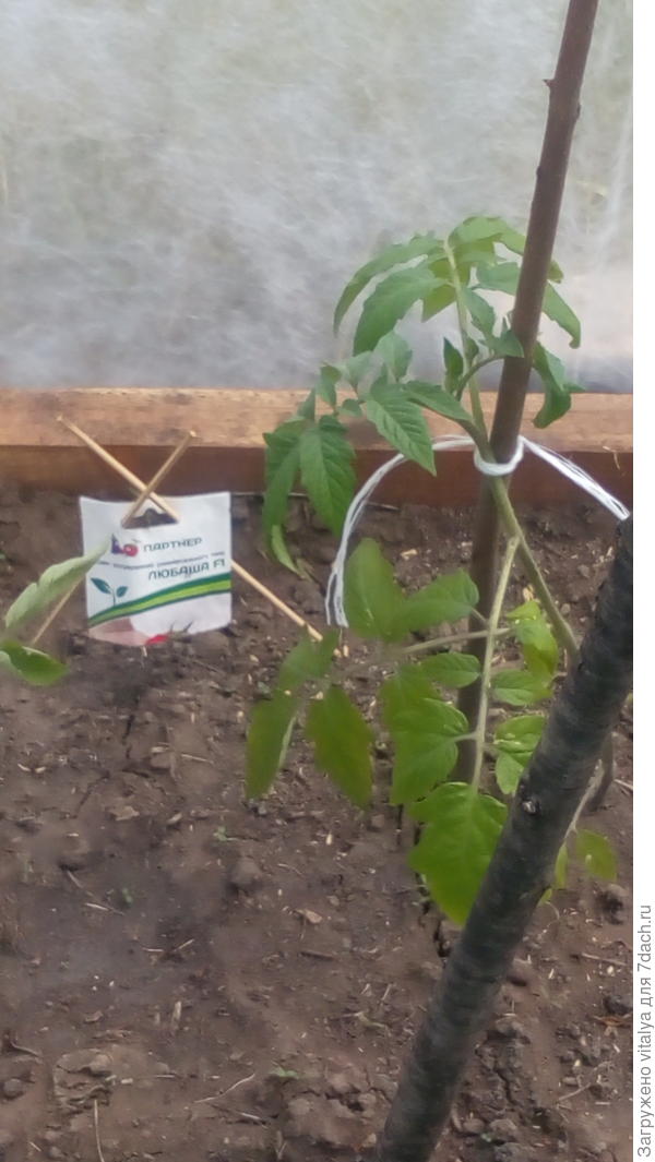 20 мая 2017 Любаша