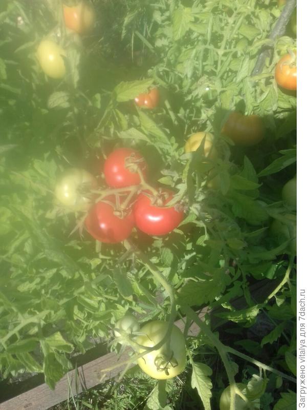 Любаша во всей красе