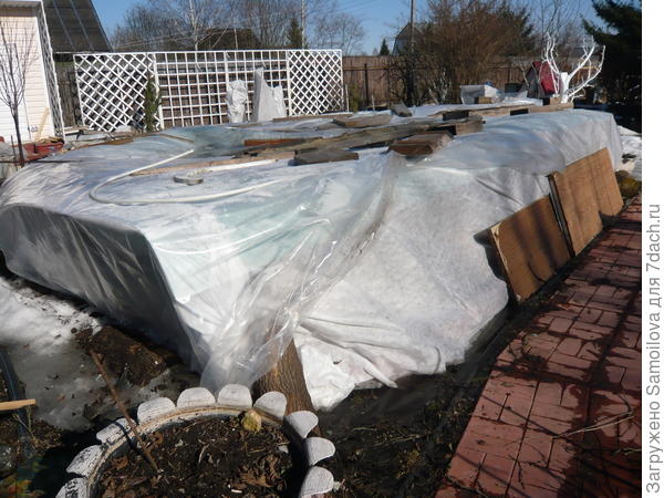 Фото прошлого года