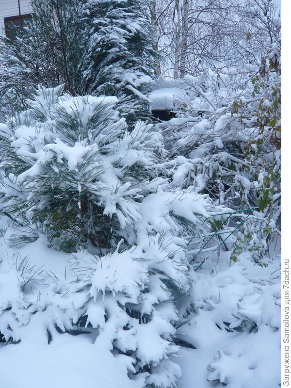 Спилберг два года назад