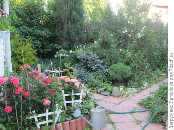 Спилберг правее и за голубой карликовой елью