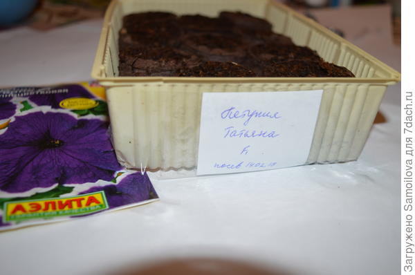 Посев петунии