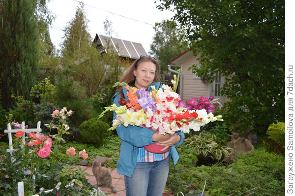 Это вам в День защитника Отечества!