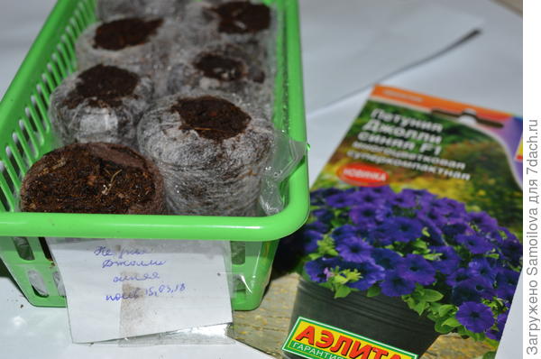 Подготовка к посеву петунии