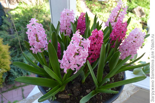 Присоединяюсь к теплым поздравлениям!