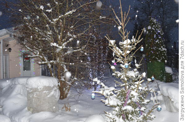 Новый год в северном Подмосковье