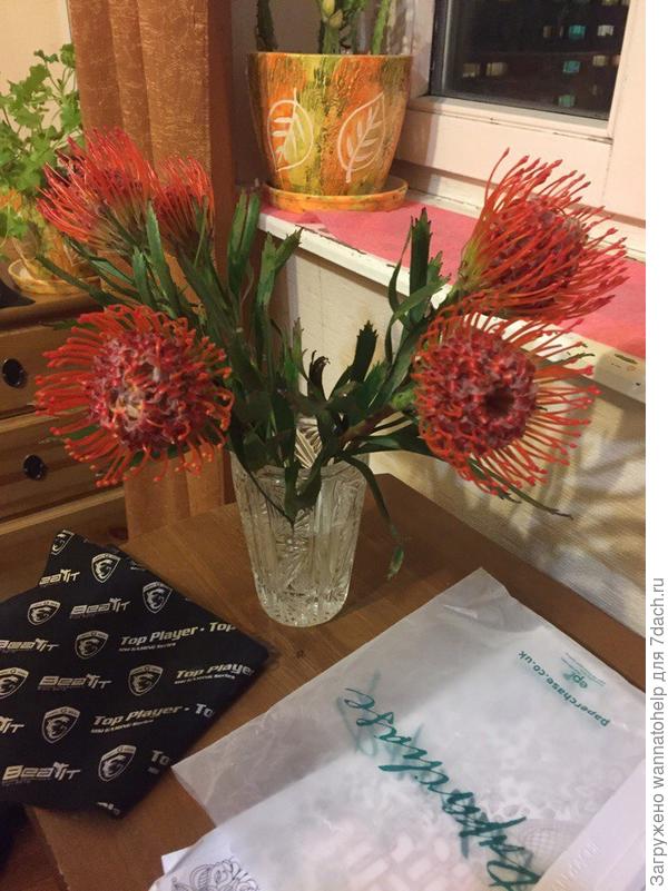 Непонятная штука. Она меня не съест?