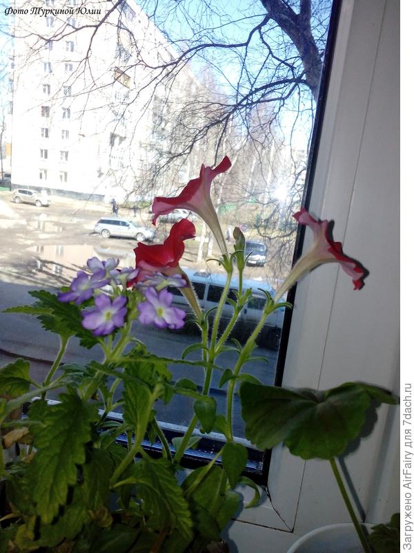 апрель