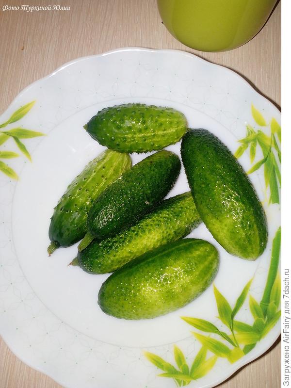 Первый урожай