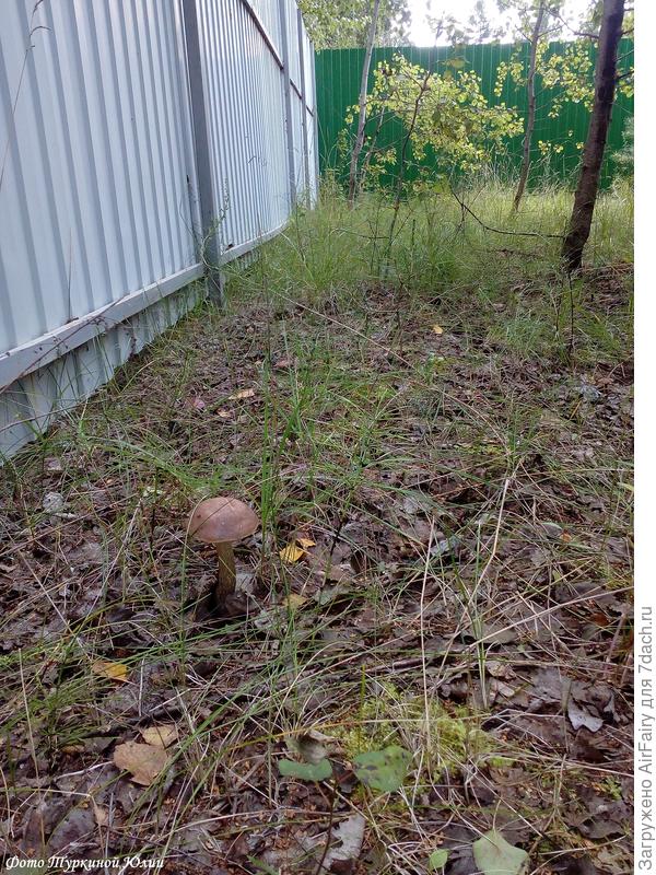 Не проходите мимо!