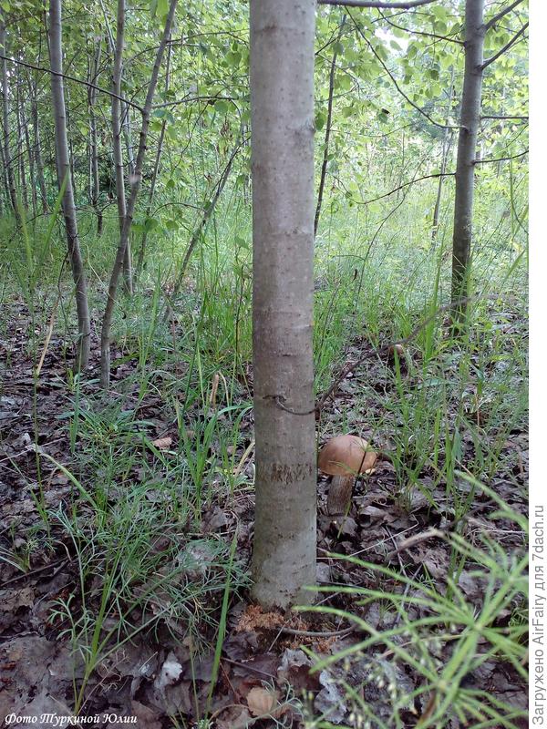 Меня рассекретили....