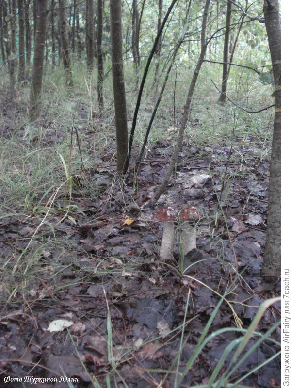 Мы с "Тамарой" ходим парой)