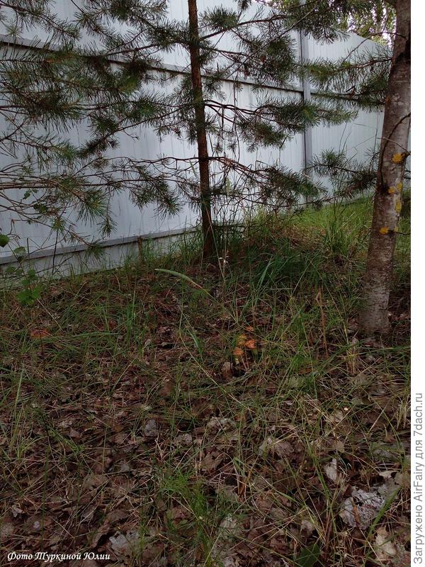 А ну, расступись....