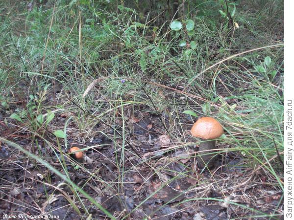 Равнение на первую линию)