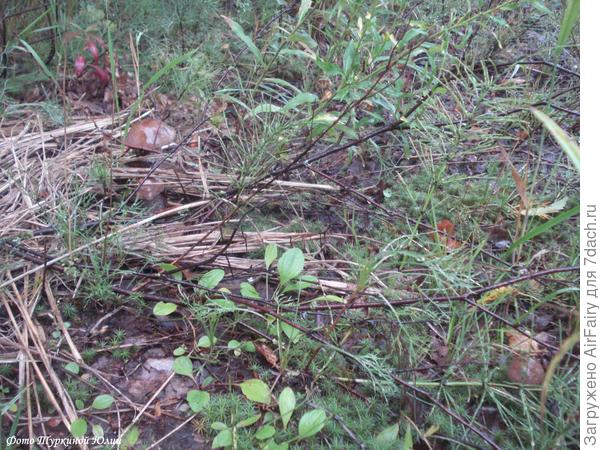 Попробуй-ка, найди!