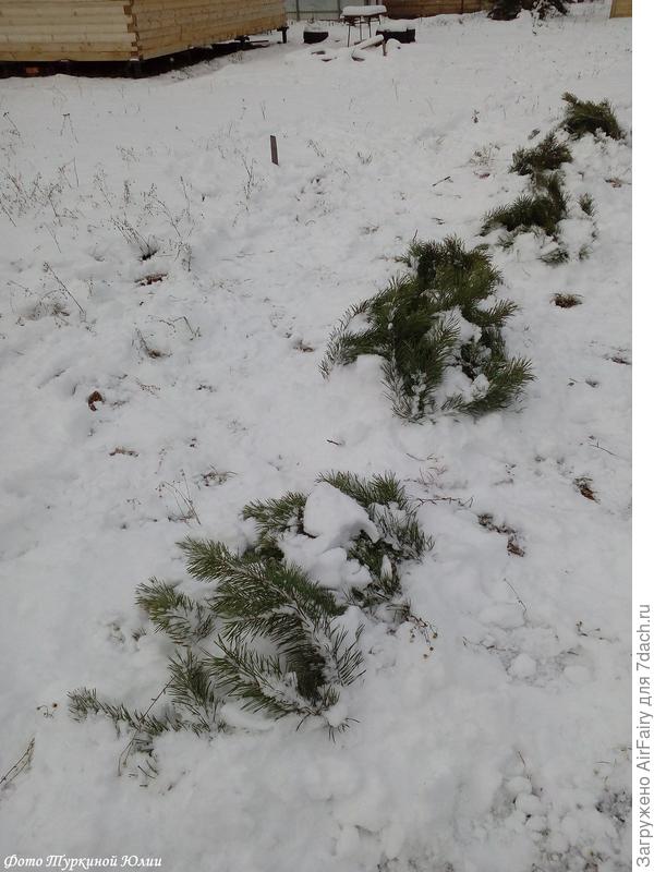 Вот такая прелесть ожидала нас на 2 ноября, а сейчас, 13.11.2019 +2