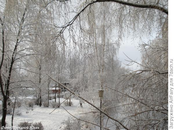 Ноябрь) Улица надела зимний наряд)