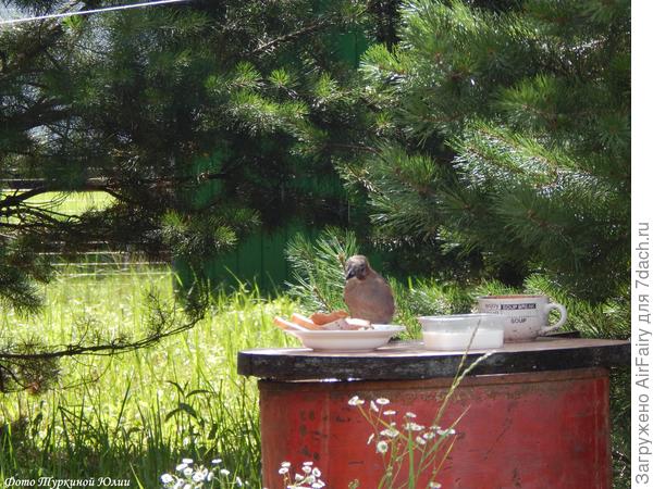 Всем по столу!