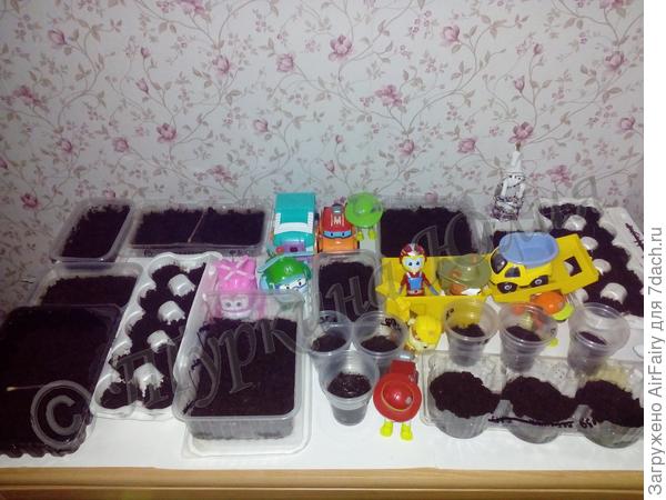 Начало посевных работ. В числе помощников....