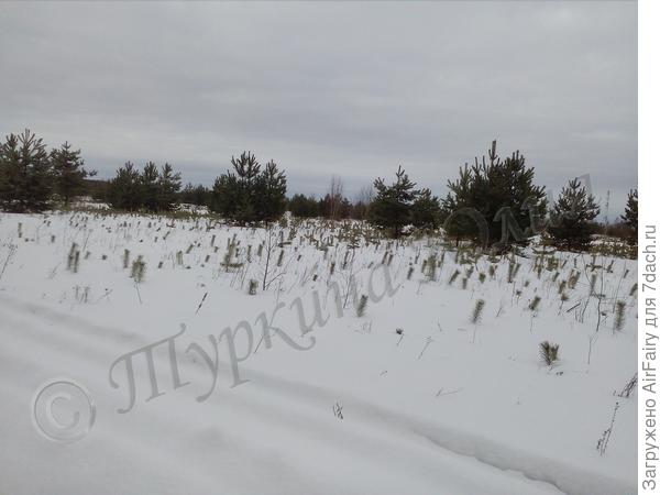 Февраль 2020 года