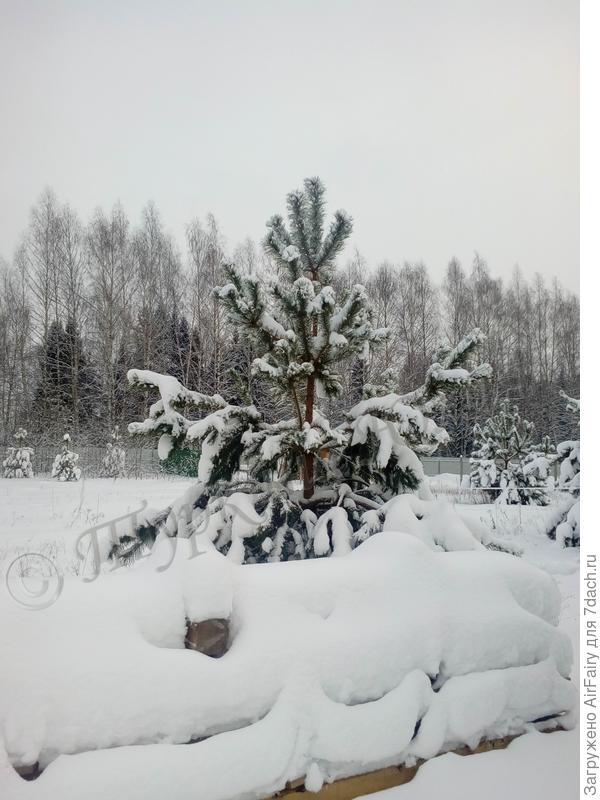 Январь 2019 года.