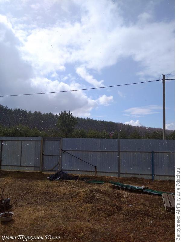 А за окном все летает, летает. И на землей паря....Снег летает, летает, летает...