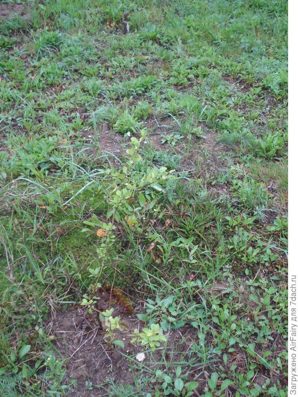 Это август прошлого года.