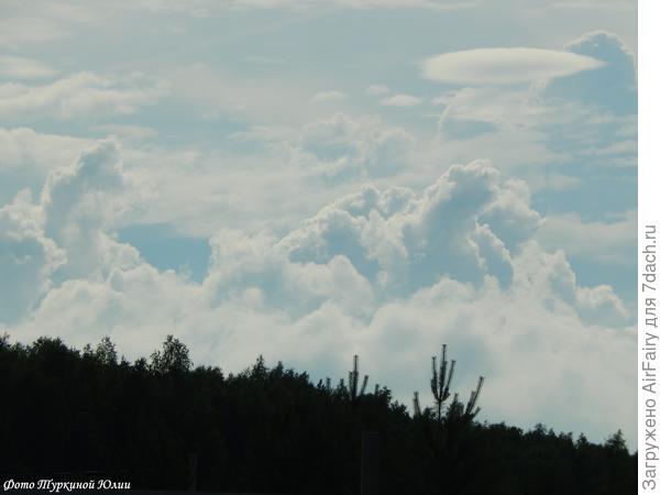 Ну чем не три медведя!