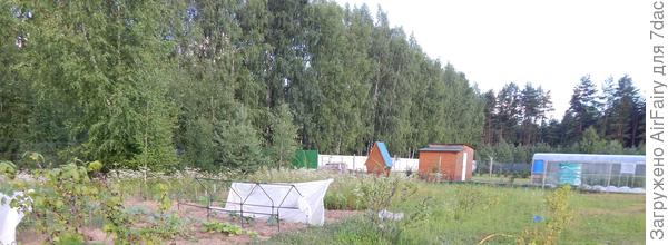 Тут плоховато, правда, но видно слегка.