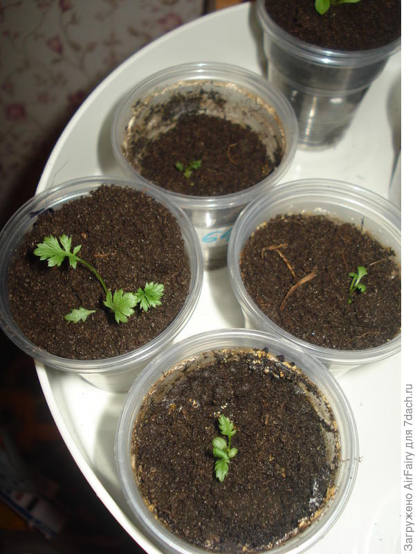 Апрельские малыши