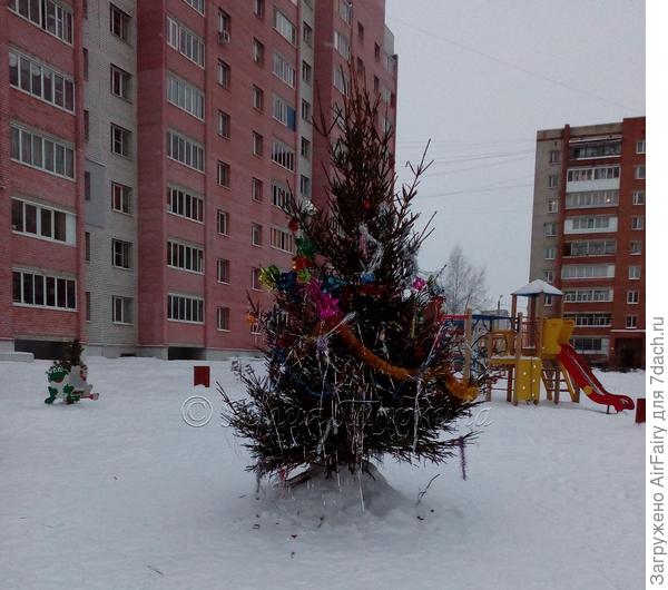 Дворовая новогодняя ель.