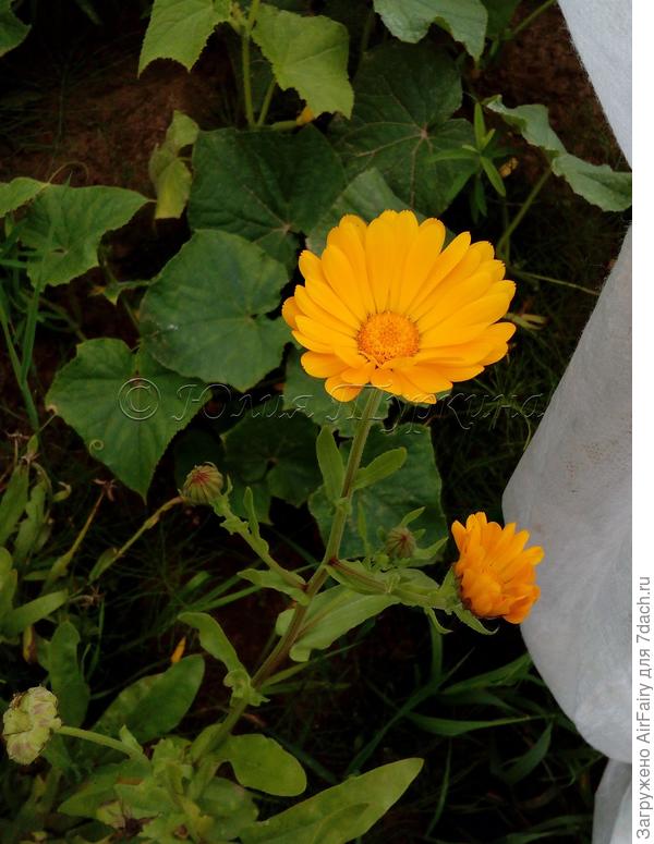 Посмотрите-ка на меня