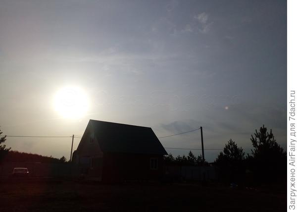 Хоромы Барсика и лично-котовое такси:-)