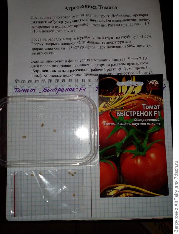 томат