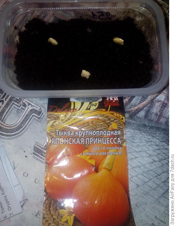 Посев