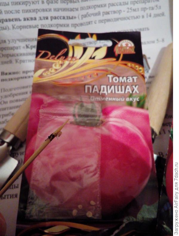 Проклюнувшееся после замачивания семечко