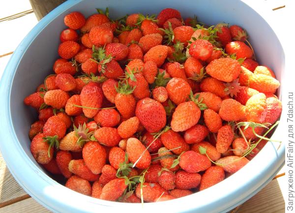 Клубничное настроение