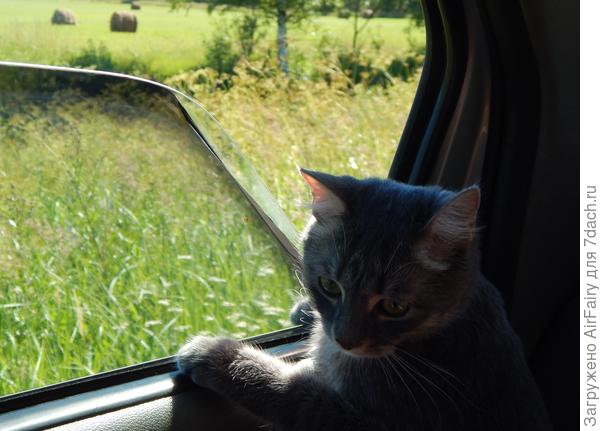 Ну а мы немножко, поглядим в автомобильное окошко