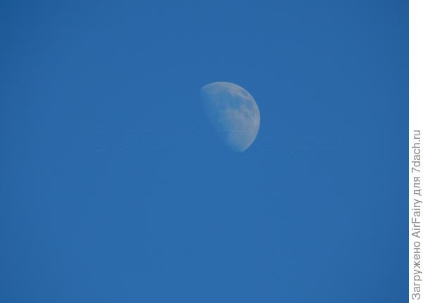 В середине бело дня показалася Луна