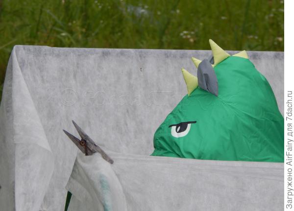 Июль 2020-го...