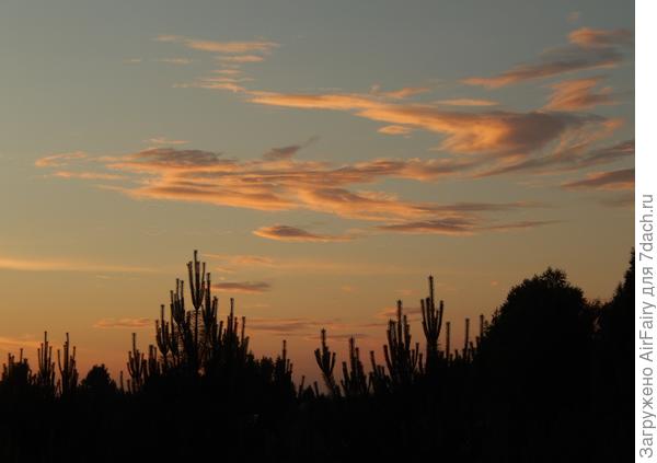 Облака в лучах заката