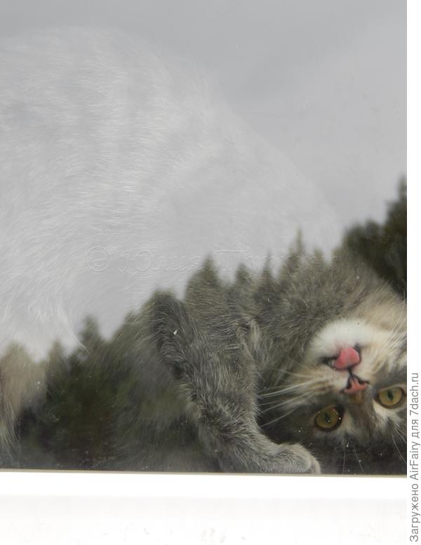 А мы такие, отжигаем)